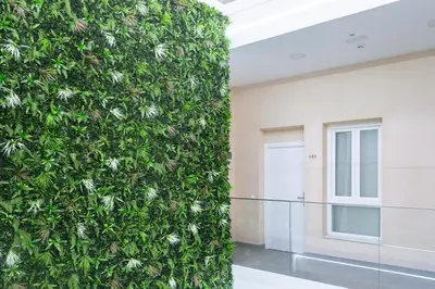 a living wall in a building with a plant at Apartamentos La Tahona Cádiz Centro in Cádiz