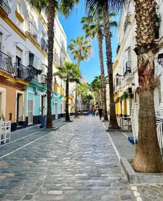 a cobblestone street with palm trees and buildings at Luna Alameda Grupo AC Gestion in Cádiz