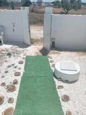 a toilet sitting on a green carpet next to a building at Tiny house Chill escape para 7 - private Jacussy Brisa & Burbujas in Chiclana de la Frontera