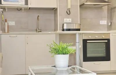 a kitchen with a potted plant on a glass table at Apartamento Madrid in Cádiz