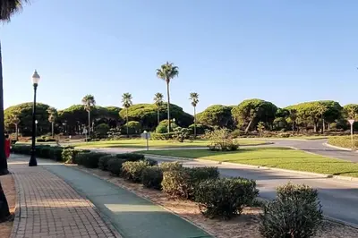 a street in a park with palm trees and a road at Novo Sancti Petri, La Barrosa, 2 Beds Room Apartamento by Chiclana Dreams in Chiclana de la Frontera