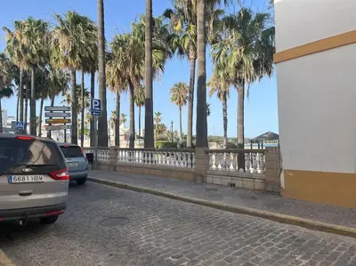 two cars parked on the side of a street with palm trees at Apartamento Veracruz in Rota