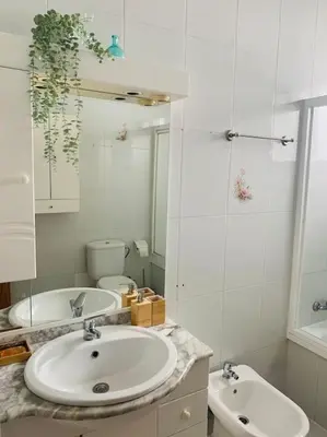 a bathroom with a sink and a toilet and a mirror at Piso coqueto céntrico en Jerez (San Miguel) in Jerez de la Frontera