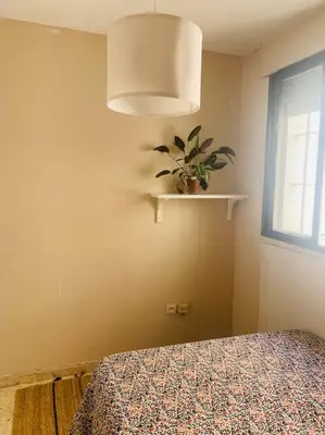 a bedroom with a bed and a plant on a shelf at Piso coqueto céntrico en Jerez (San Miguel) in Jerez de la Frontera