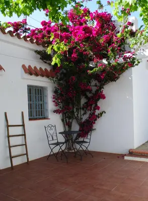 a table and chairs under a bunch of pink flowers at CÁDIZ - GANESHA acogedor apartamento en Chiclana de la Frontera, España in Chiclana de la Frontera