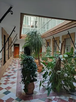 a hallway with lots of potted plants in a building at Apartamento Casa Palacio 1890. in El Puerto de Santa María