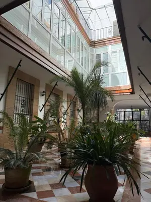 a large room with potted plants in a building at Apartamento Casa Palacio 1890. in El Puerto de Santa María