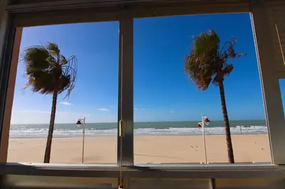 two palm trees on the beach viewed through a window at AranPe PLAYA CÁDIZ in Cádiz