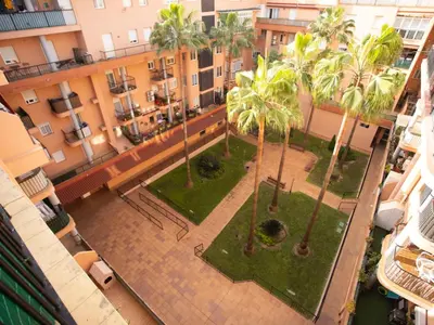 an overhead view of a courtyard with palm trees at Colon 1 in El Puerto de Santa María