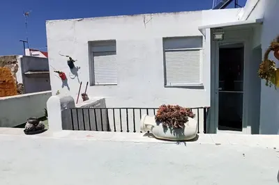 a white house with a flower pot in front of it at ÁTICO SANTA MARÍA in Cádiz