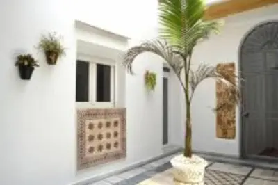 a palm tree in front of a house at APARTAMENTO VEEDOR 19 DÍAS Y MUCHAS NOCHES in Cádiz