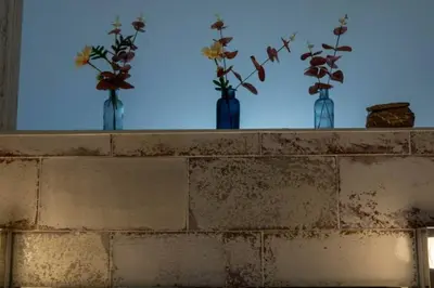 three vases with flowers in them sitting on a ledge at GATU Casa Muse junto a la playa, vista al mar, aire acc, terraza, wifi y chimenea 