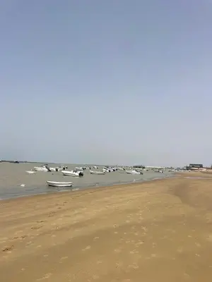 a beach with a group of boats in the water at Puerta de Doñana: Playa y centro a un paso. in Sanlúcar de Barrameda