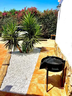 a black chair sitting on a patio with plants at Casa Con Encanto 2 SOLO FAMILIAS in Conil de la Frontera