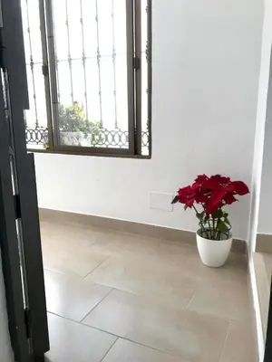 a white room with a potted plant and a window at El rincón de Manolita #3 in Bornos