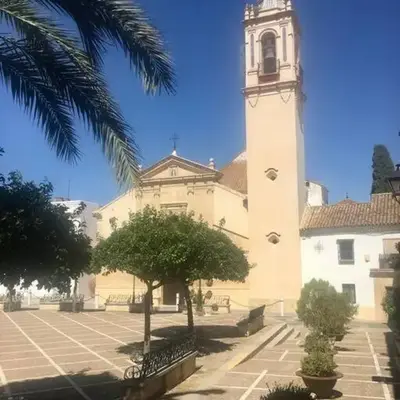 El rincón de Manolita #3