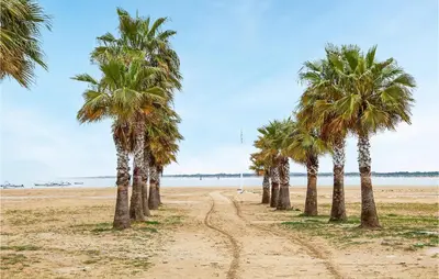 a row of palm trees on a sandy beach at Cozy Apartment In Sanlúcar De Barrameda in Sanlúcar de Barrameda