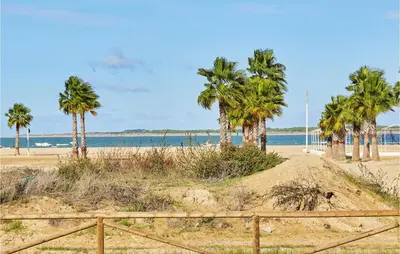 a group of palm trees on a sandy beach at Cozy Apartment In Sanlúcar De Barrameda in Sanlúcar de Barrameda