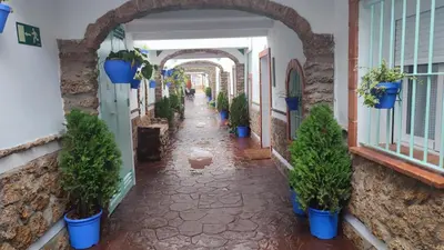 an alley with potted plants in a building at Geranio Chipionahome in Chipiona