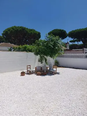 a tree sitting in the middle of a beach at Casita Alejandro in Chiclana de la Frontera
