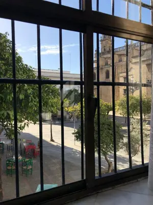 a view through a window of a building at Apartamentos Makao Puerta del Olivillo in Jerez de la Frontera