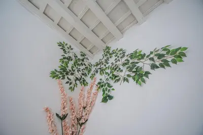 a vase with plants on a wall at Apartamento El Cobijo de Cádiz in Cádiz