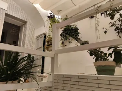 a room filled with potted plants on shelves at La casa de loto in Alcalá de los Gazules