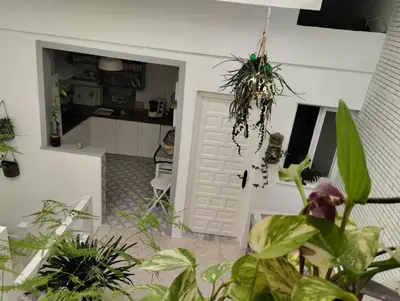 a living room with plants and a kitchen at La casa de loto in Alcalá de los Gazules