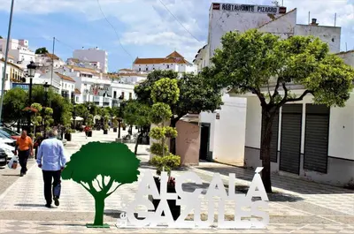a man walking down a city street with trees at La casa de loto in Alcalá de los Gazules