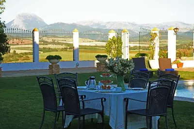 a blue table with chairs and flowers on a patio at Finca La Fuensanta in Arcos de la Frontera