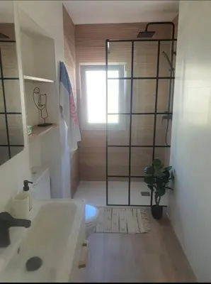 a bathroom with a shower and a sink and a toilet at Apartamento Juan Belmonte in Jerez de la Frontera