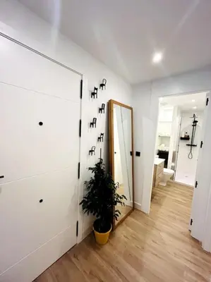 a room with a mirror and a potted plant at Apartamento Arsenio Beach in Cádiz