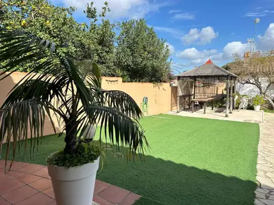 a potted plant in a yard with a green lawn at Chalet Aguacate in Chiclana de la Frontera