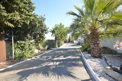 a street with palm trees on the side of a road at Estudios con piscina compartida en Complejo Rural el Mayorazgo in Cádiz