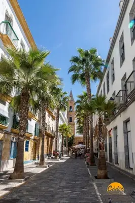 a cobblestone street with palm trees and a building at Estrella del Mar- FREE PARKING by LiveWork in Cádiz