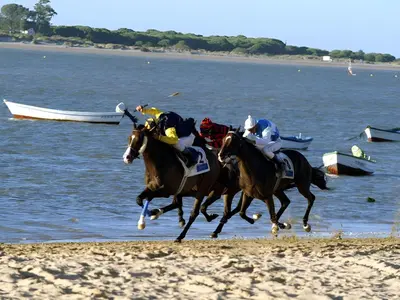 two horses racing on the beach near the water at Apartamento Poniente Sanlúcar - Centro in Sanlúcar de Barrameda