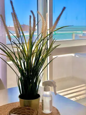 a potted plant sitting on a counter next to a sink at Frente al mar, preciosas vistas, piscinas , valdelagrana in El Puerto de Santa María