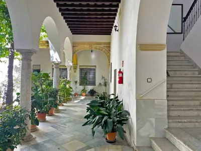 a hallway with potted plants and stairs in a building at Apartamento Intramuros - Ole Solutions in Jerez de la Frontera