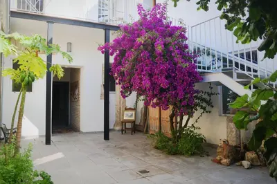 a bunch of purple flowers hanging from a building at Casa de la Fra in Jerez de la Frontera