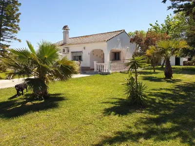 a white house with palm trees in the yard at Casa Francesca, 90 m2, jardin de 1500m2 in Hozanejos