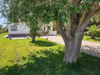 a tree in the grass in front of a house at Casa Francesca, 90 m2, jardin de 1500m2 in Hozanejos