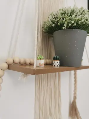 a wooden shelf with a plant and a pot on it at Apartamento Pirrado in Sanlúcar de Barrameda
