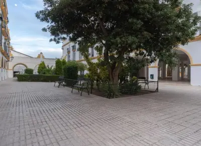 a group of benches sitting under a tree in a courtyard at Apartoyou - Plaza de Toros in El Puerto de Santa María