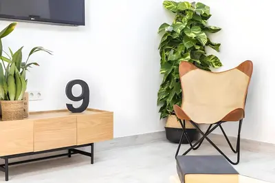 a chair in a living room with plants at La Casa del Mercader by Gades Gestión in Cádiz