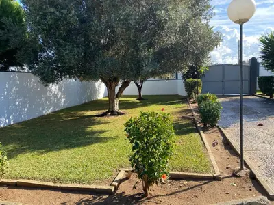 a yard with a tree and a street light at Villa Irina in Chiclana de la Frontera