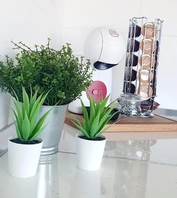 three plants in white pots sitting on a counter at Playa Doñana 1 in Sanlúcar de Barrameda