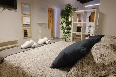 a bedroom with a large bed with pillows on it at Apartamento AstaRegia in Jerez de la Frontera
