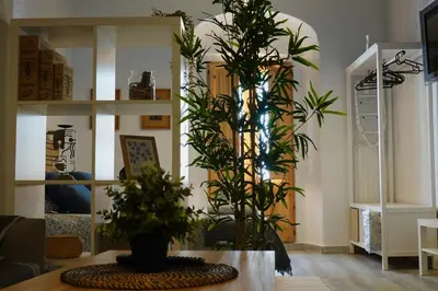 a living room with plants on a table at Apartamento AstaRegia in Jerez de la Frontera