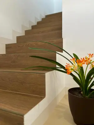 a plant in a pot sitting next to a staircase at Loft céntrico con gran terraza in El Puerto de Santa María