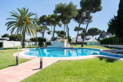 a swimming pool in a yard with palm trees at Apartoyou - Vistahermosa in El Puerto de Santa María